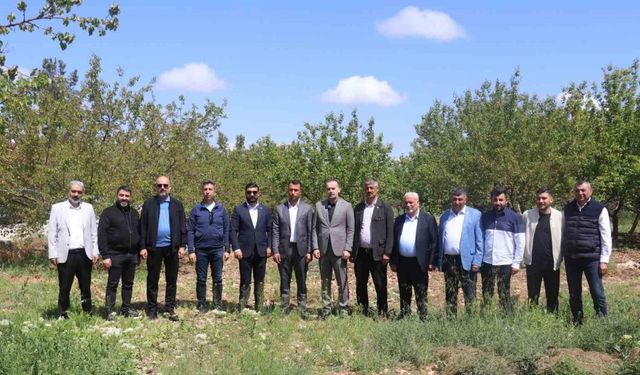 Malatya'da Kayısı Dondu, 500 Milyon Dolar Buhar Oldu!