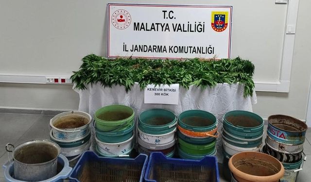 Malatya’da operasyon: 6 gözaltı