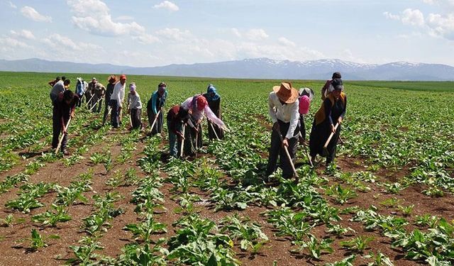 Malatya Valiliği Açıkladı! Üreticiye Dev Hibe Desteği: Başvurular Başladı