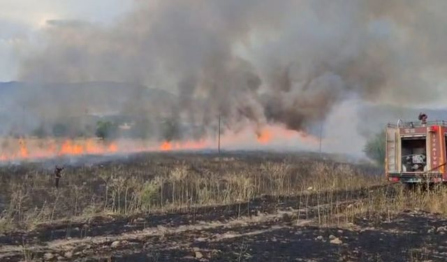 Malatya'da itfaiye 41 olaya müdahale etti