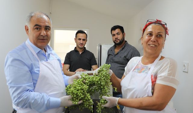 Elazığ’ın Sün köyünde koruk suyundan şifa dağıtıyorlar!