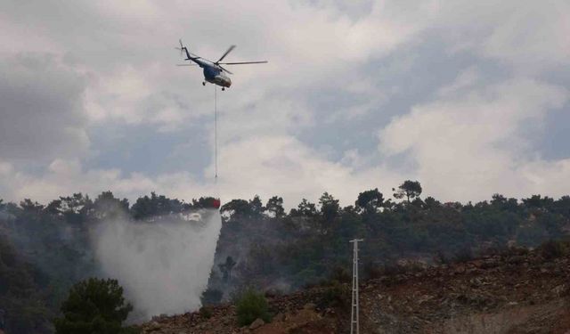 Adıyaman’da Orman Yangını: 200 Dönüm Alan Kül Oldu!