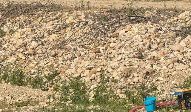 Bahçe sularken kalp krizi geçiren kişi hayatını kaybetti