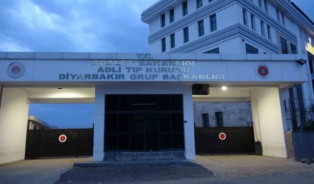 Dicle’de Korkunç Olay: 14 Yaşındaki Kız Kardeşini Darbeden Ağabey Tutuklandı