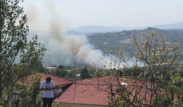 Bartın’da peş peşe yangınlar çıktı