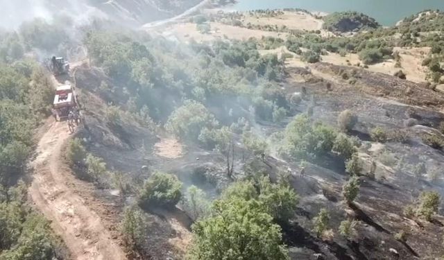 Elazığ'da ormanlık alanda korkutan yangın!