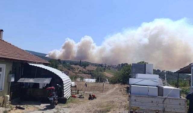 Kocaeli’de orman yangını başladı