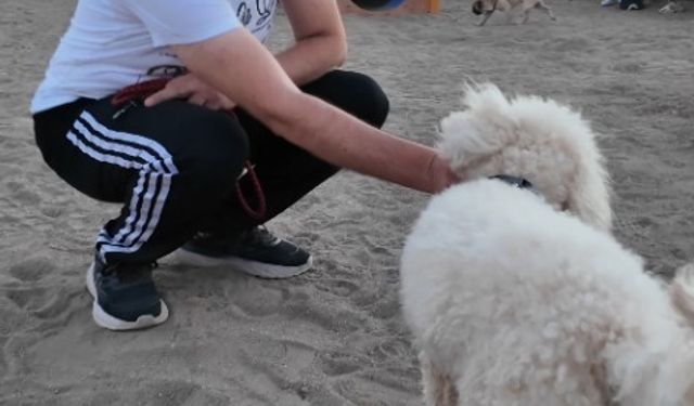 Proteo Köpek Eğitim Parkuru’na tam not