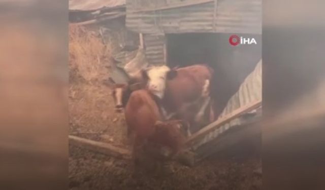Doğanyol'da teyakkuza geçildi!