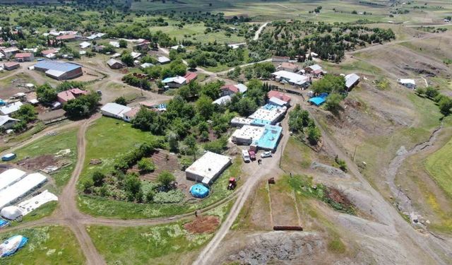 Elazığ’da Kadın Cinayeti Davası: Mahkeme Tanık İfadesi İçin Erteledi