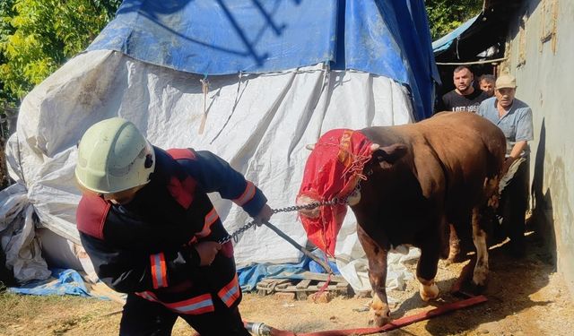 Malatya’da Yangın Panik Yarattı: Ahır Kullanılamaz Hale Geldi