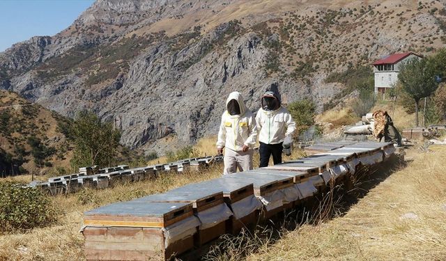 Ailesiyle yalnız yaşadığı köyde yılda 2,5 ton bal üretiyor