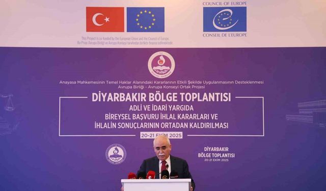 AYM’ye 13 yılda 702 bin bireysel başvuru yapıldı