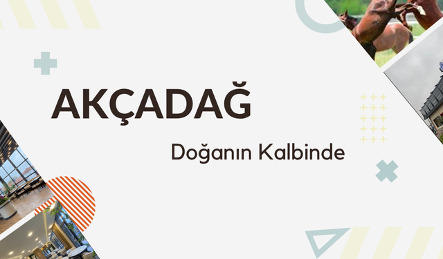 Akçadağ Belediyesi ne var ne yok satışa çıkardı!