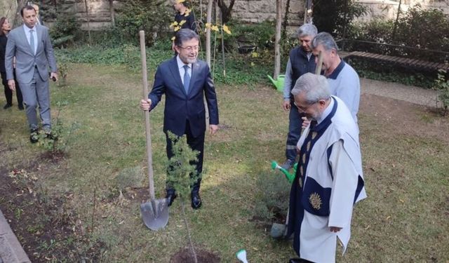 11 Kasım rekoru! 14.9 milyon fidan