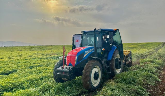 Şırnak’ta 25 bin ton rekolte bekleniyor