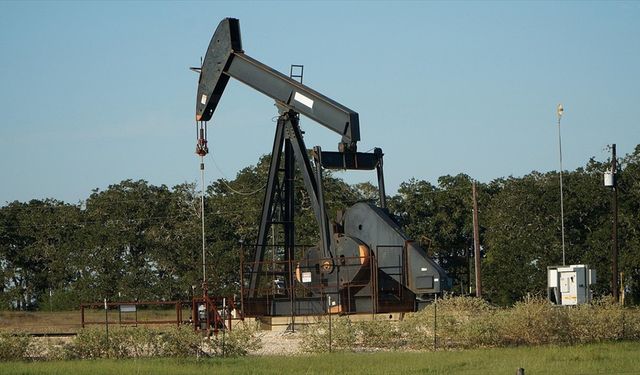 ABD'nin gözünü diktiği hazine: 'Venezuela'nın yeraltı zenginlikleri'
