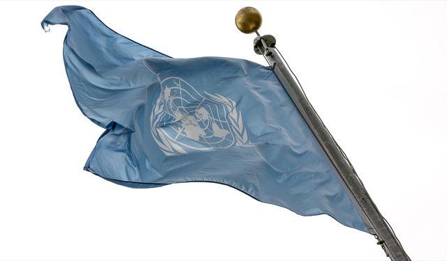 BM, derin mali krizle karşı karşıya