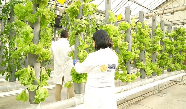 TENMAK, yiyeceklerin raf ömrünü uzatan gıda teknolojisi geliştiriyor