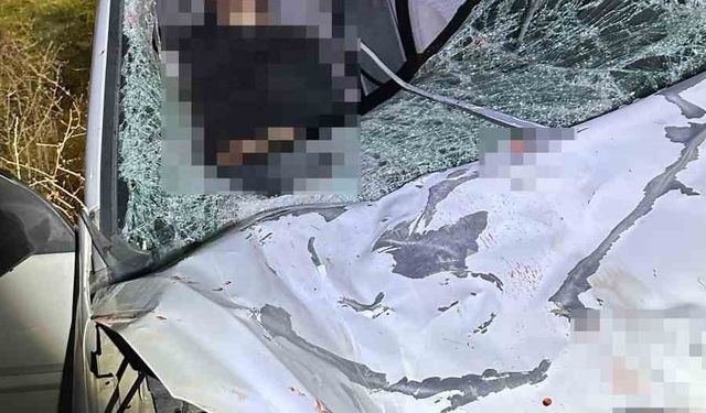 Diyarbakır’da iki otomobil ile at çarpıştı: 1 ölü, 7 yaralı