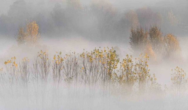 Hevsel’in sonbahar perdesi: Sisli bahçeler kartpostallık görüntüler oluşturdu