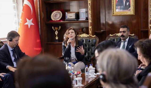 Jurgis Vilcinskas ve AB Büyükelçileri Diyarbakır’da Temaslarda Bulundu