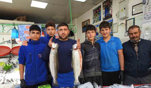 Karadeniz’deki bolluk balık fiyatlarını düşürdü