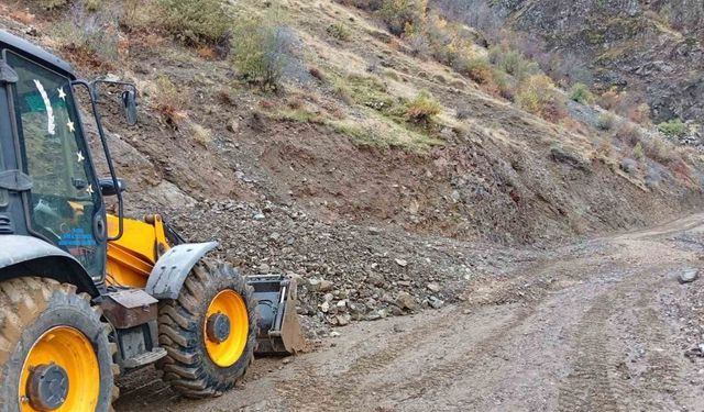 Siirt’te sağanak yağış heyelana neden oldu