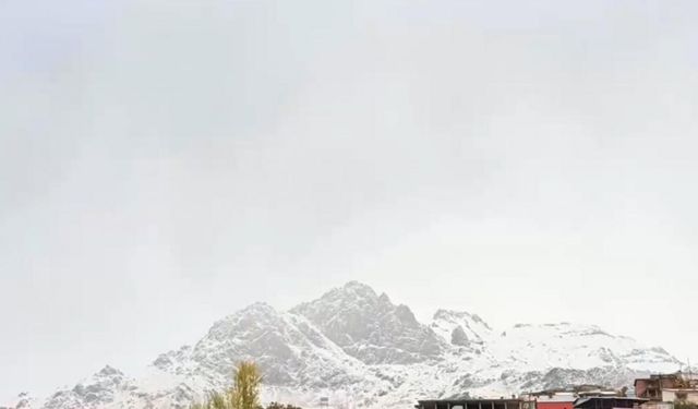 Şırnak’ta kar yağışı etkili oldu: Beytüşşebap beyaza büründü