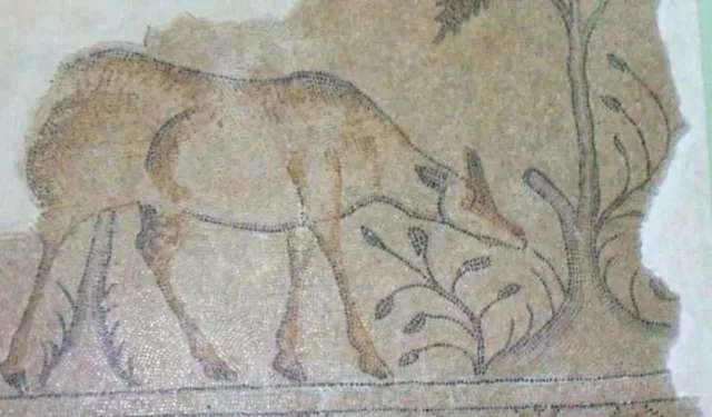 Malatya’da sergileniyor sanatsal değeri çok yüksek