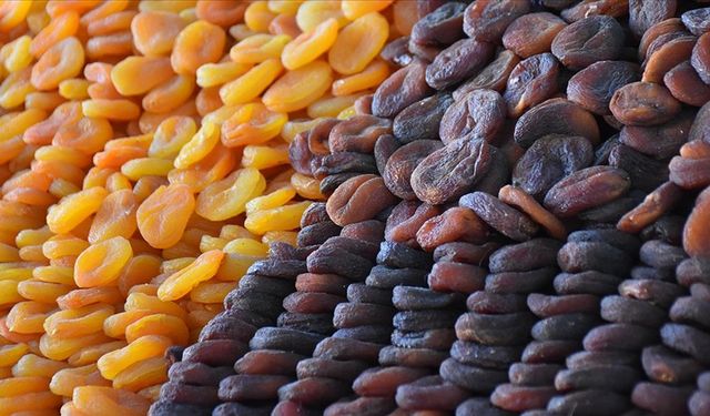 Zirai donun vurduğu Malatya’da ihracat başarısı