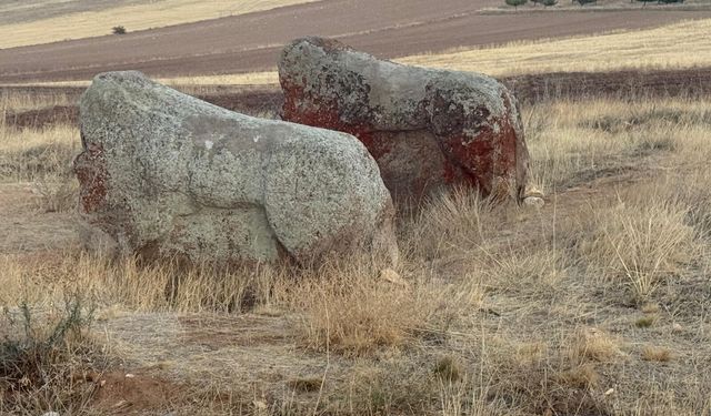 Darende Aslantaşları Yerinde Korunacak