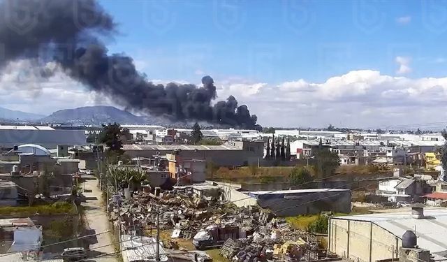 Meksika'da küçük uçağın düşmesi sonucu en az 7 kişi öldü