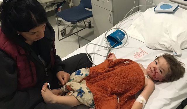 Pitbull cinsi köpeğin saldırısına uğrayan 2 çocuk yaralandı