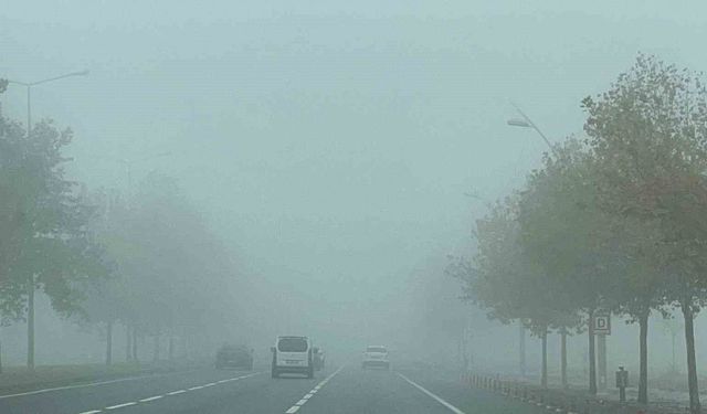 Diyarbakır'da sis etkili oldu