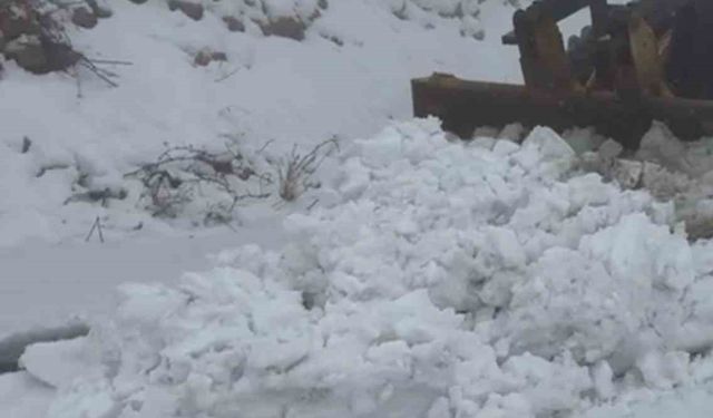 Gercüş'te kar nedeniyle 5 köy yolu ulaşıma kapandı