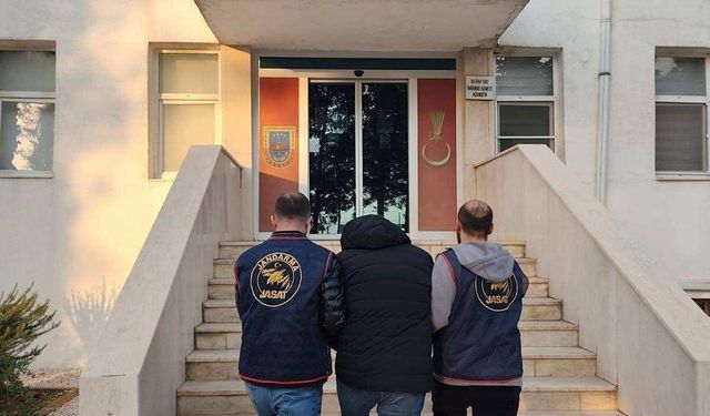 Kargo kutusundan muz çıktı: 127 yıl hapis cezası bulunan dolandırıcı yakalandı