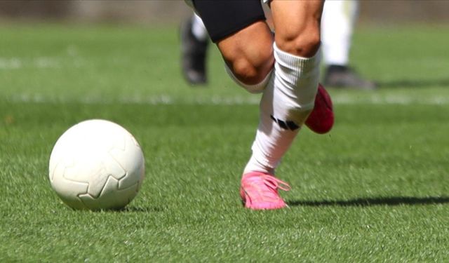 Mardin 1969 Spor, evinde Bursaspor’a kaybetti