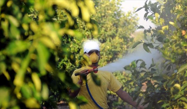 5 soruda tarımda 'B-Reçete' uygulaması