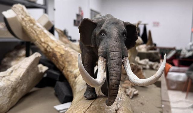 Kayseri'de bulunan dev hayvan fosillerinin minyatürleri yapılıyor