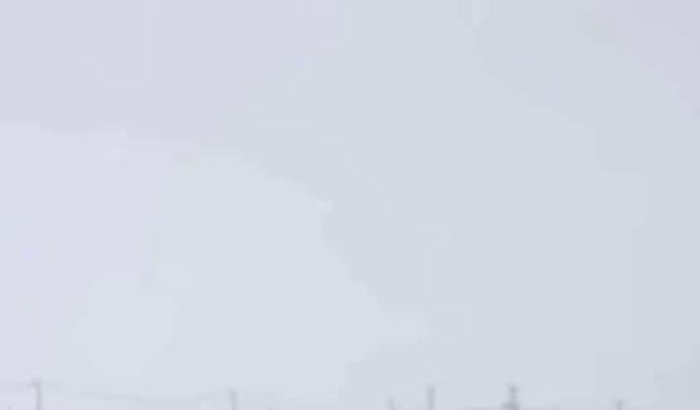 Diyarbakır'da kurtlar yerleşim yerlerine indi