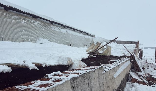 Kar nedeni ile ahırın çatısı çöktü, 11 hayvan telef oldu