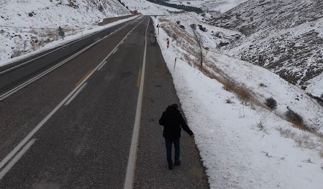 Kuşlar için yol kenarlarına buğday serptiler