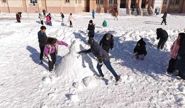 Van'da eğitime kar molası