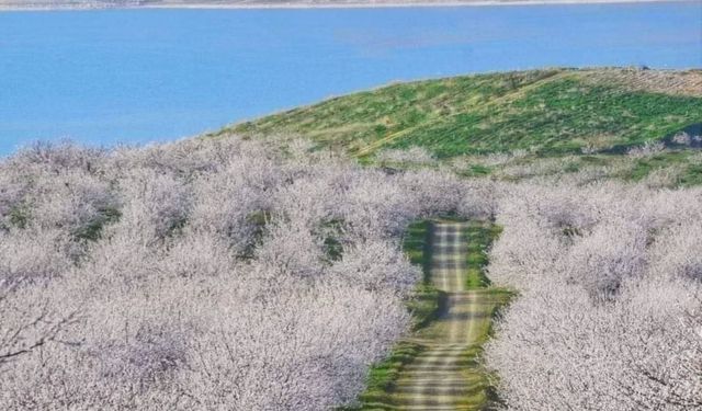 Malatya’da Suyun Isınacağı Tarih Belli Oldu: 2. Cemre Ne Zaman?