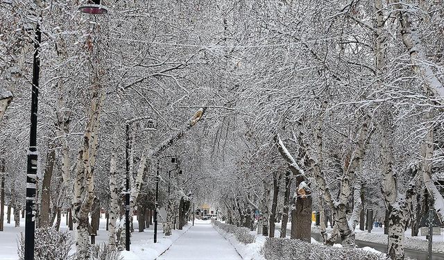 Doğuda kar yağışı etkilisini sürdürüyor
