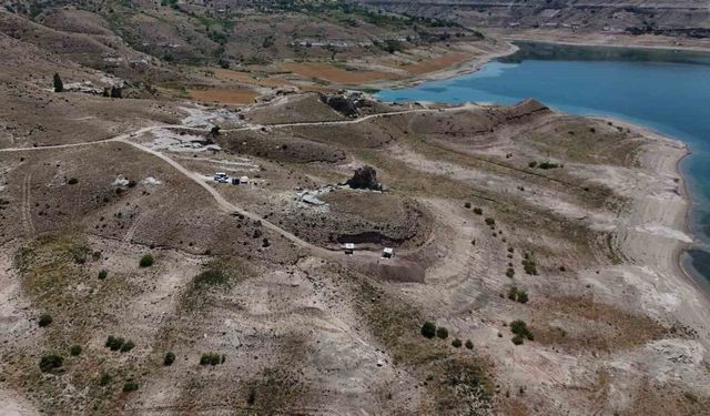 Anadolu'nun Saklı Tarihi: Bilim Dünyasını Heyecanlandıran 103 Yeni Fosil Bulundu!