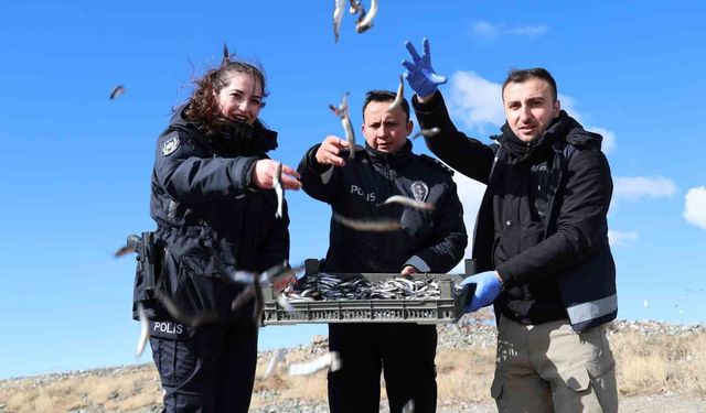 Doğu’nun Gizli Denizinde Vicdan Nöbeti: Polis Tavşanları ve Martıları Aç Bırakmadı