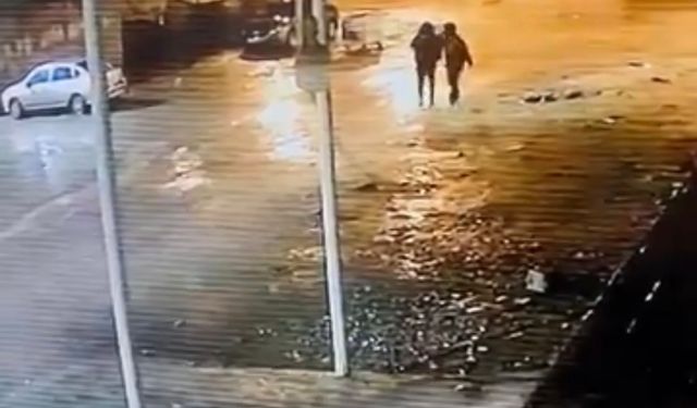 Şanlıurfa Siverek'te 19 koyun çalındı: Hırsızlık anı kamerada