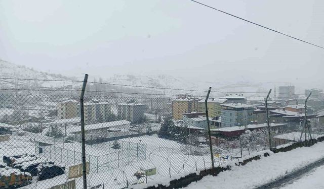 Yoğun Kar Yağışı Nedeniyle Siirt’te Bazı İlçelerde Eğitime Ara